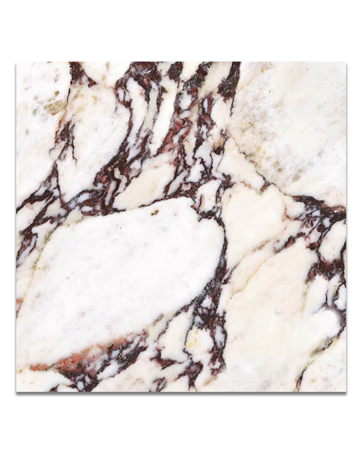 Calacatta Viola Marble Effect Matte Finish Porcelain Tiles