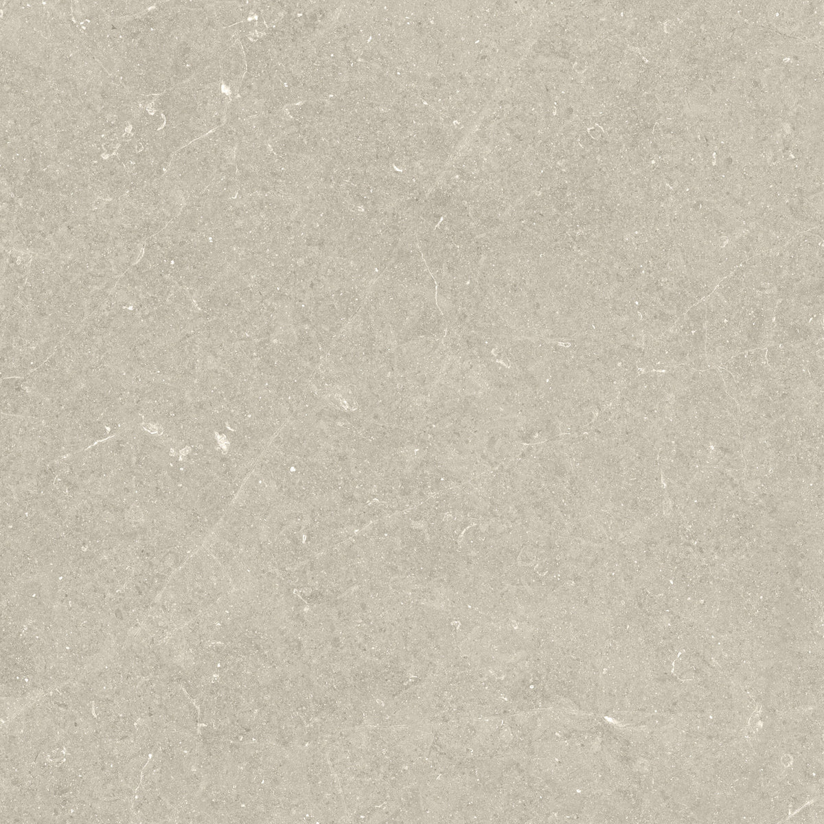 Bergstein Beige tile - feature 1