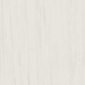 Marvel Bianco Dolomite Matt 60x60 cm