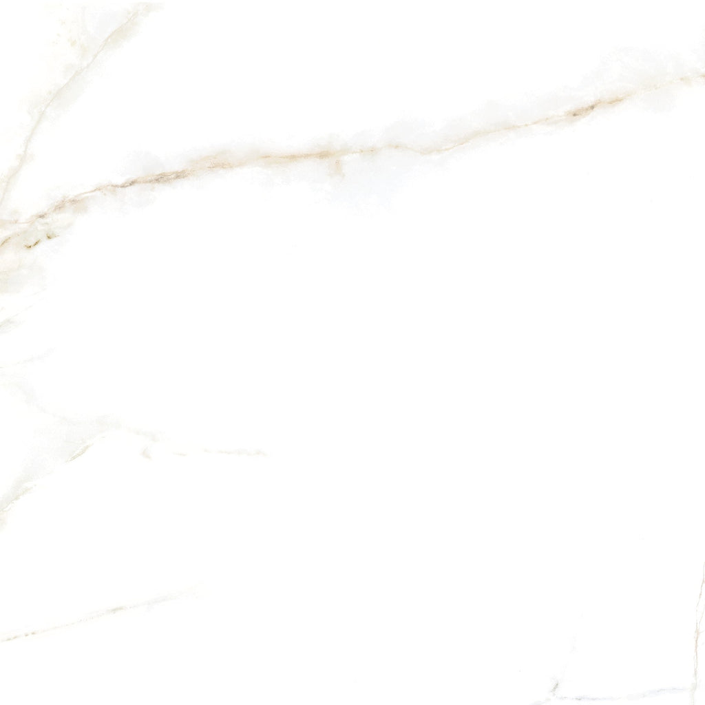 Lance White tile - feature 1