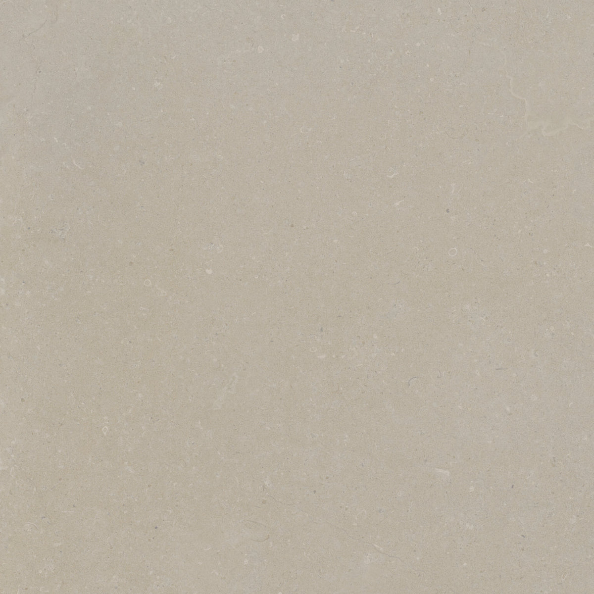Rift Bone Concrete Effect Tiles 600x600mm