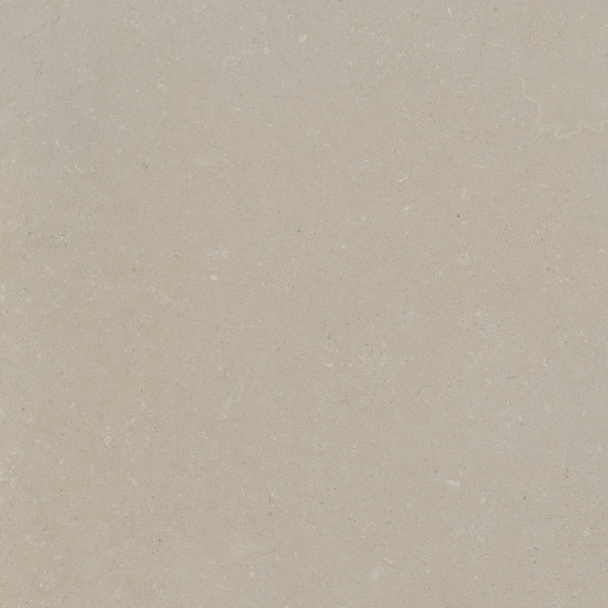 Rift Bone tile - feature 1